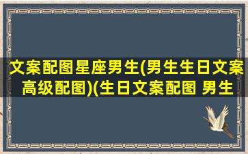 文案配图星座男生(男生生日文案高级配图)(生日文案配图 男生)